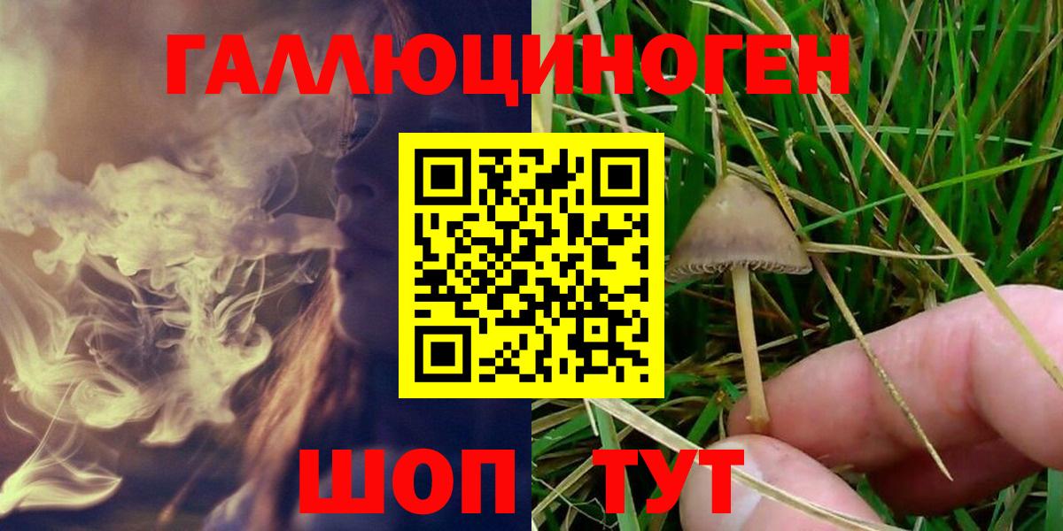 Псилоцибиновые грибы прущие грибы  Галлюциногенные грибы MAGIC MUSHROOMS  Вход с VPN  Донской 