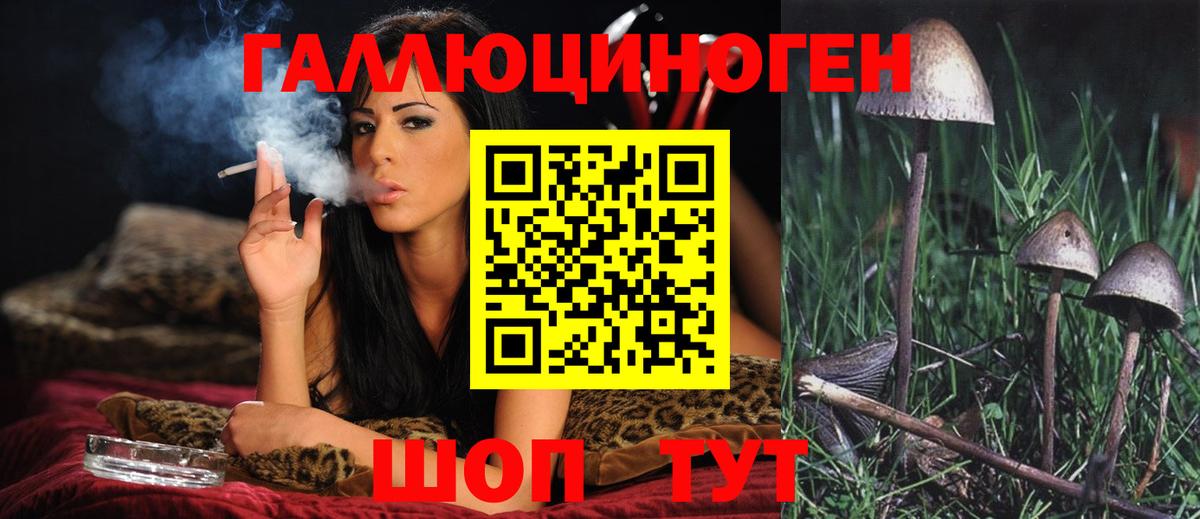 Псилоцибиновые грибы GOLDEN TEACHER Донской